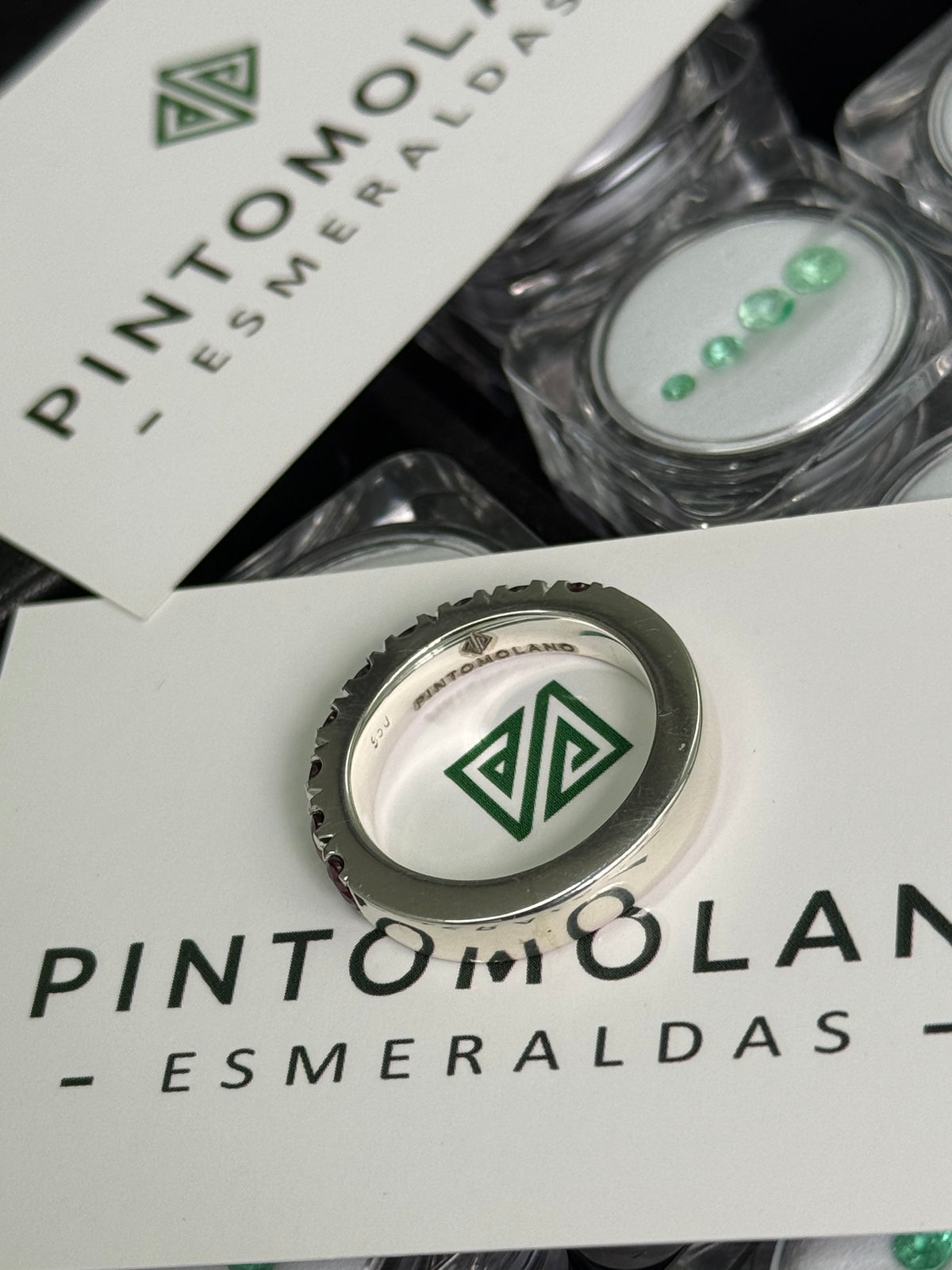 Anillo de Hombre en Plata – Cintillo con 9 Rubíes Naturales de 4 mm