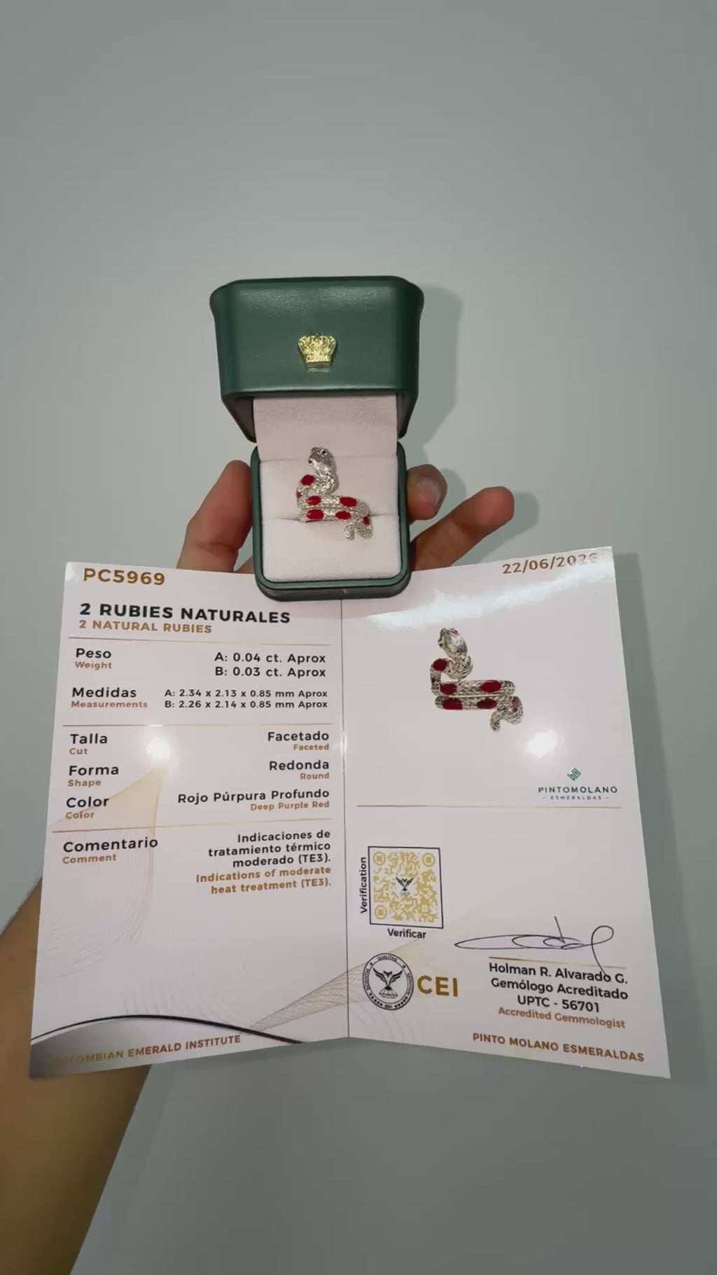 Anillo de Serpiente en Plata (Disponible para Fabricación)