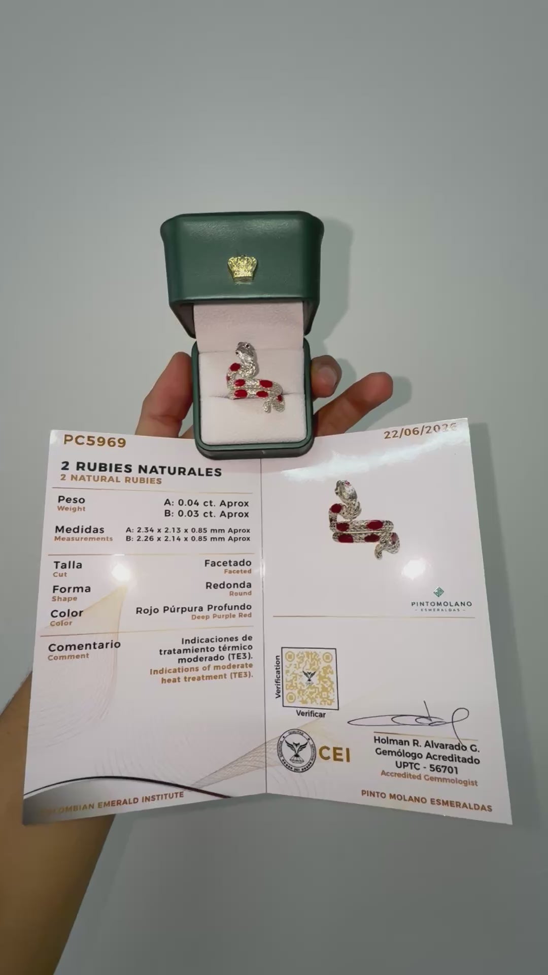 Anillo de Serpiente en Plata (Disponible para Fabricación)